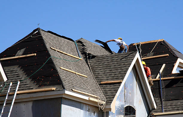 Best Roof Insulation Installation  in Glenwood, GA