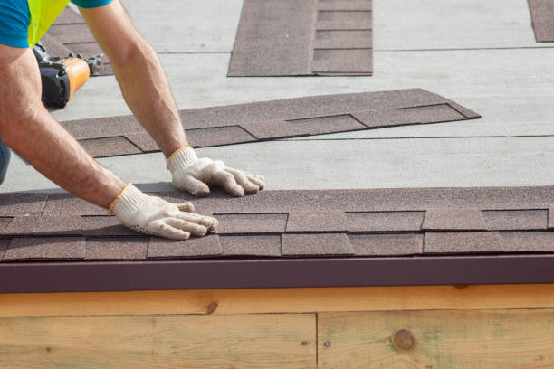 Best Skylight Installation and Repair  in Glenwood, GA